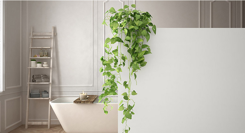 Bathroom Ivy: Transform Your Space Naturally